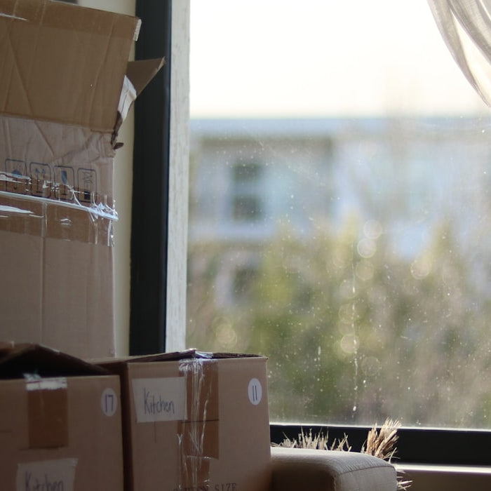 Labeled moving boxes stacked by a sunlit window in a new home