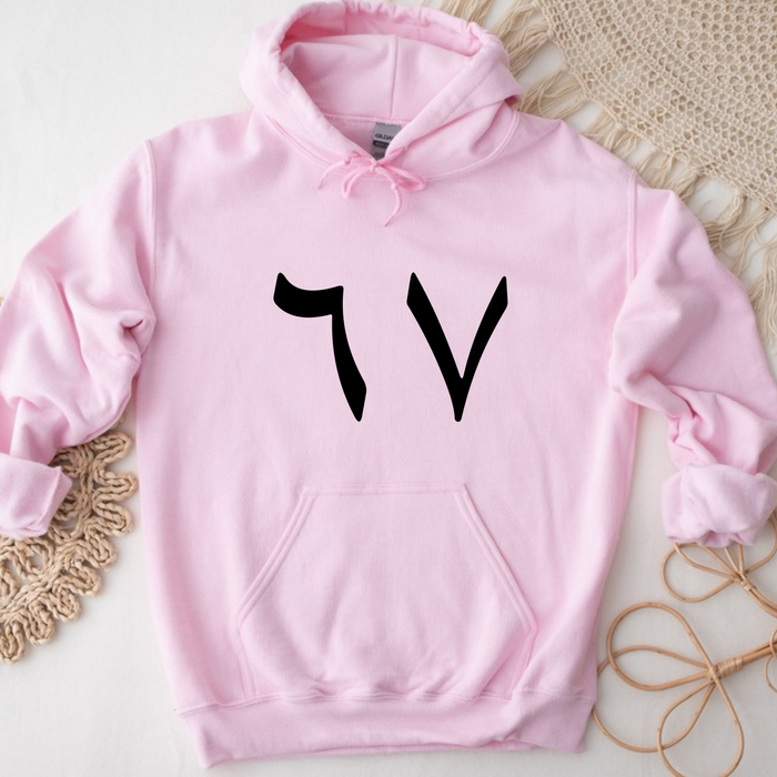 67 Hoodie