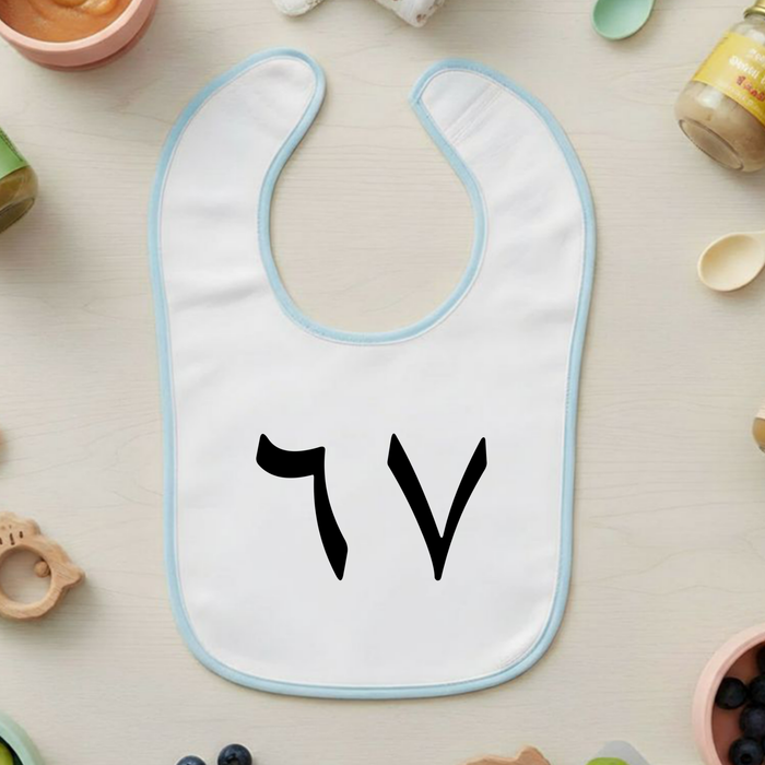 6 7 Arabic Numerals Terry Bib