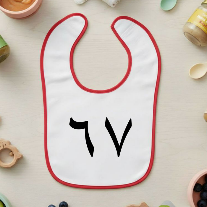 6 7 Arabic Numerals Terry Bib