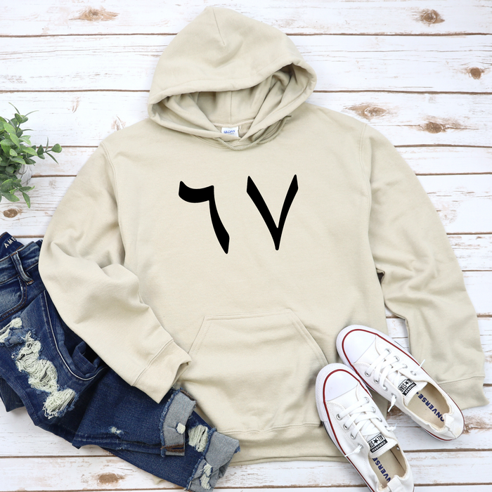 6 7 Arabic Numerals Hoodie