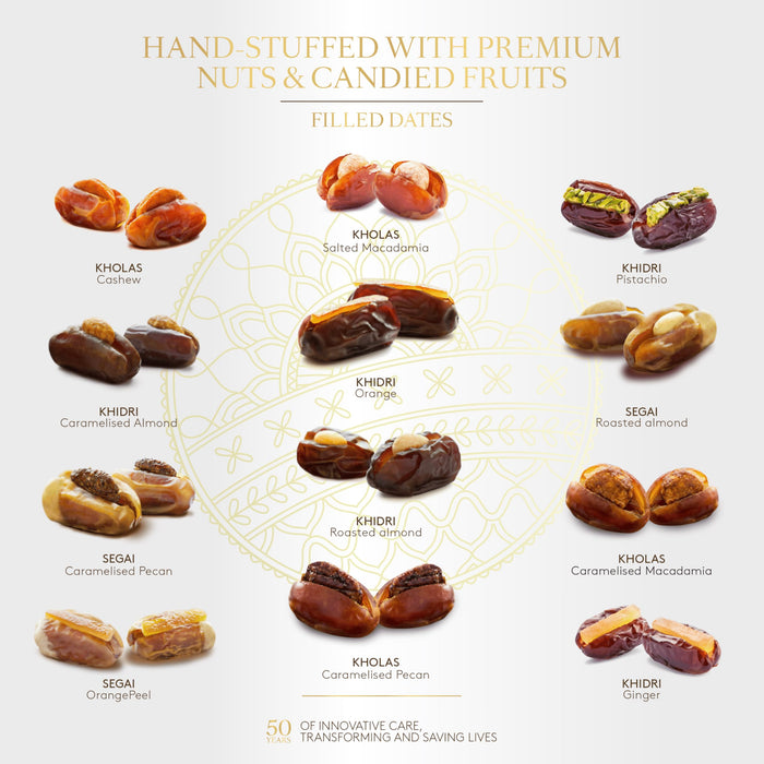 Bateel Najma Filled Dates Gift Set | Extra Large | Signature Collection of Gourmet Stuffed Dates | Luxury Arabesque Gift Box | Gift for Muslims | Islamic Gift | Ramadan Eid Gift for Muslims
